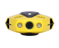 Chasing DORY - 744858 - zdjęcie 3